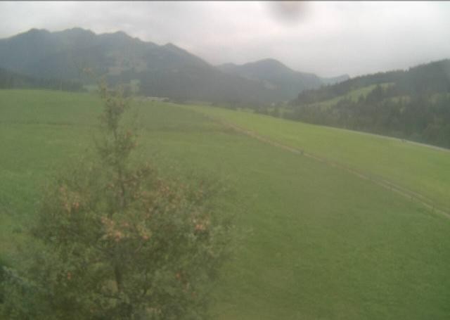 Archiv Foto Webcam Hochfilzen, Tirol