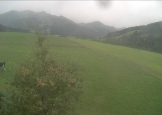 Archiv Foto Webcam Hochfilzen, Tirol