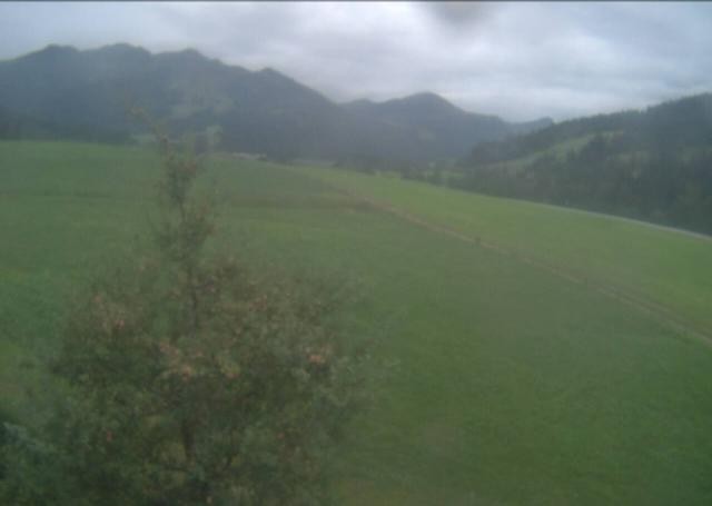 Archiv Foto Webcam Hochfilzen, Tirol