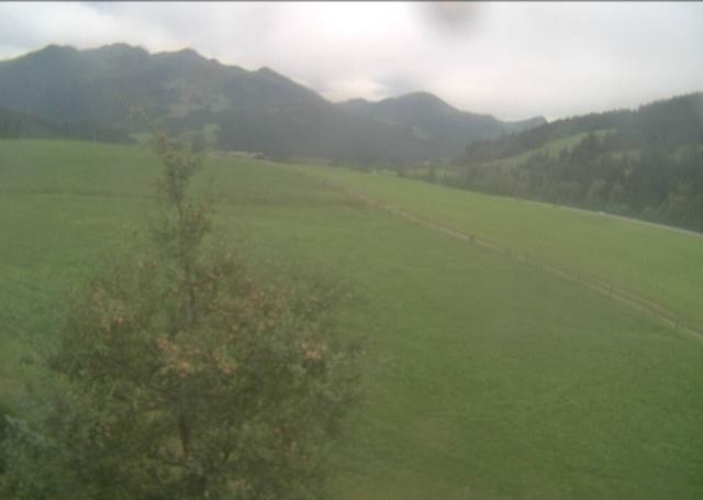 Archiv Foto Webcam Hochfilzen, Tirol