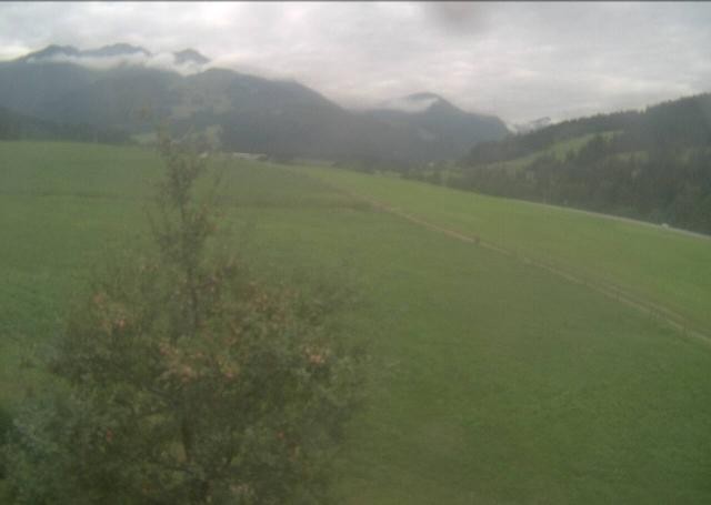 Archiv Foto Webcam Hochfilzen, Tirol