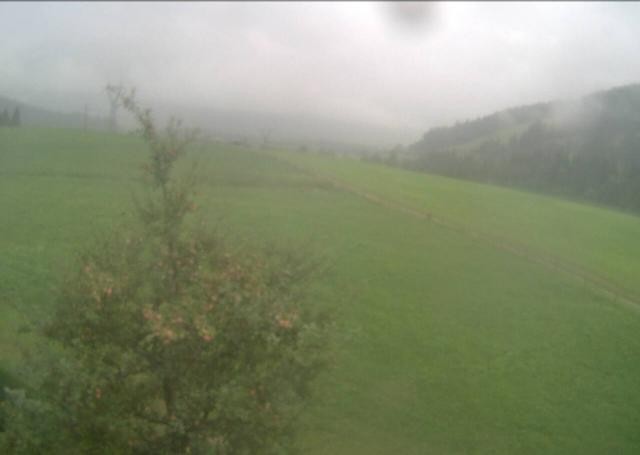 Archiv Foto Webcam Hochfilzen, Tirol