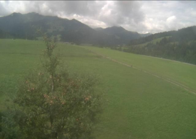 Archiv Foto Webcam Hochfilzen, Tirol