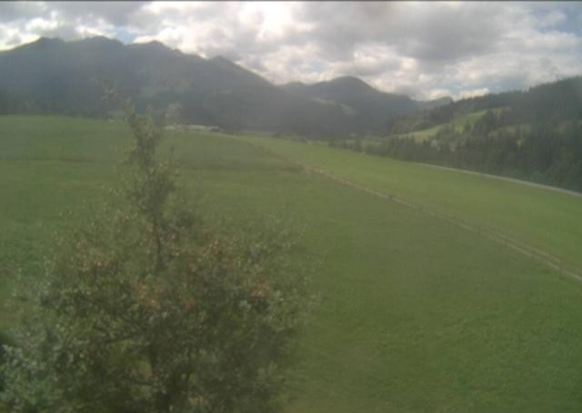Archiv Foto Webcam Hochfilzen, Tirol