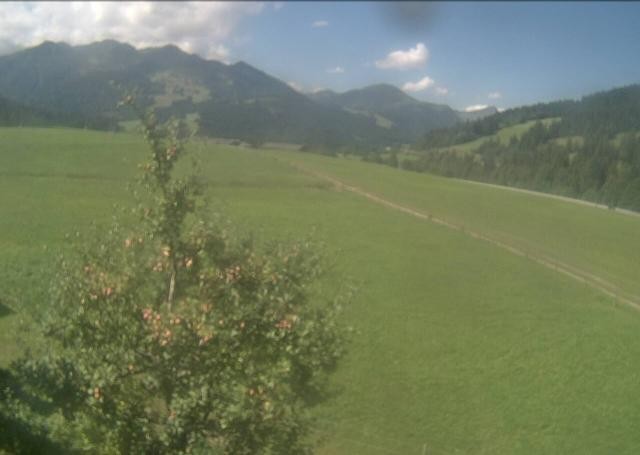 Archived image Webcam Hochfilzen, Tyrol