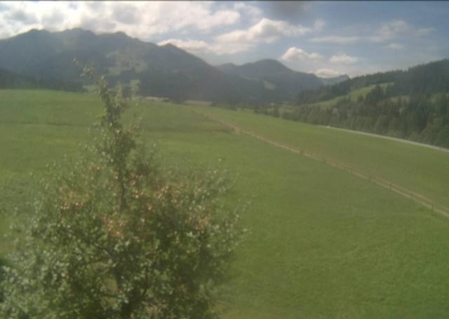 Archived image Webcam Hochfilzen, Tyrol