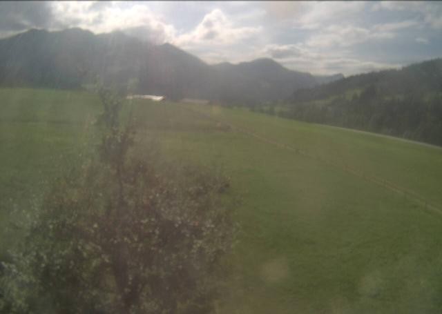 Archiv Foto Webcam Hochfilzen, Tirol