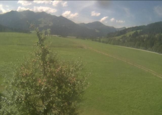 Archiv Foto Webcam Hochfilzen, Tirol
