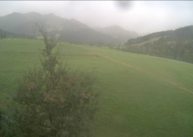 Archiv Foto Webcam Hochfilzen, Tirol
