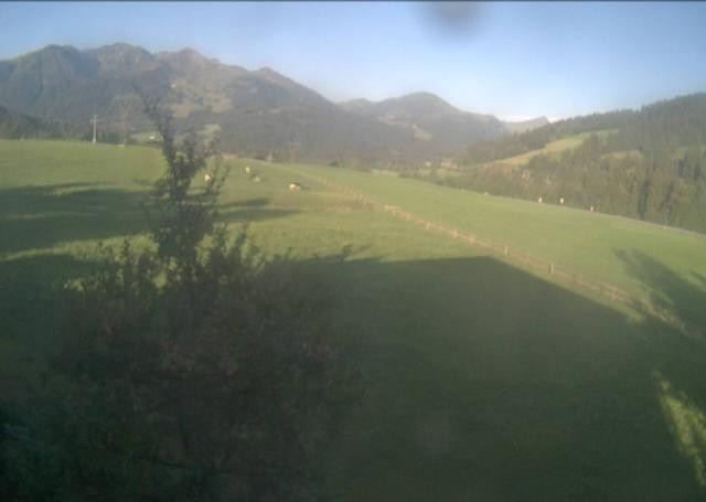 Archiv Foto Webcam Hochfilzen, Tirol
