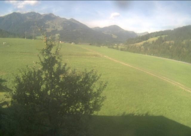 Archiv Foto Webcam Hochfilzen, Tirol