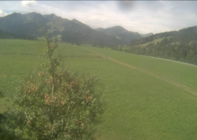 Archiv Foto Webcam Hochfilzen, Tirol