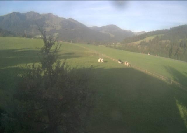 Archived image Webcam Hochfilzen, Tyrol