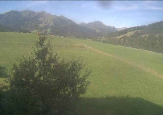 Archived image Webcam Hochfilzen, Tyrol