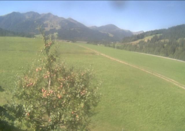 Archived image Webcam Hochfilzen, Tyrol