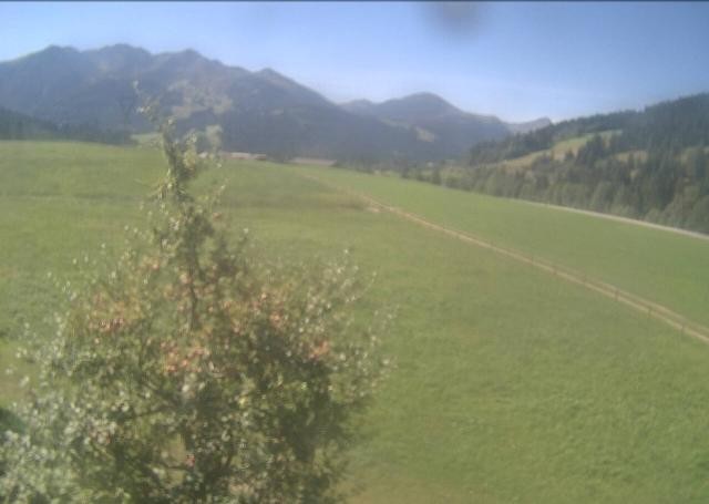 Archiv Foto Webcam Hochfilzen, Tirol