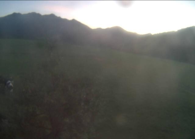 Archiv Foto Webcam Hochfilzen, Tirol