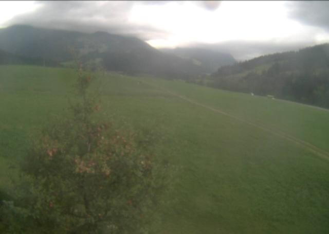 Archiv Foto Webcam Hochfilzen, Tirol