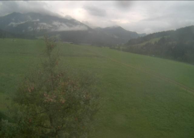 Archived image Webcam Hochfilzen, Tyrol