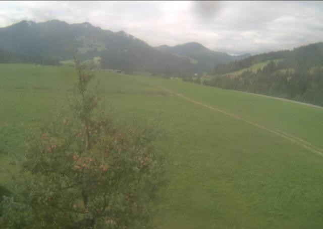Archived image Webcam Hochfilzen, Tyrol