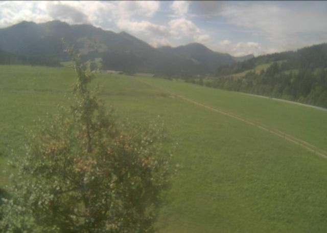 Archived image Webcam Hochfilzen, Tyrol