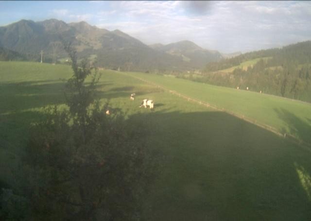 Archiv Foto Webcam Hochfilzen, Tirol