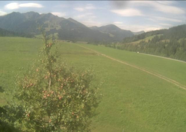 Archived image Webcam Hochfilzen, Tyrol