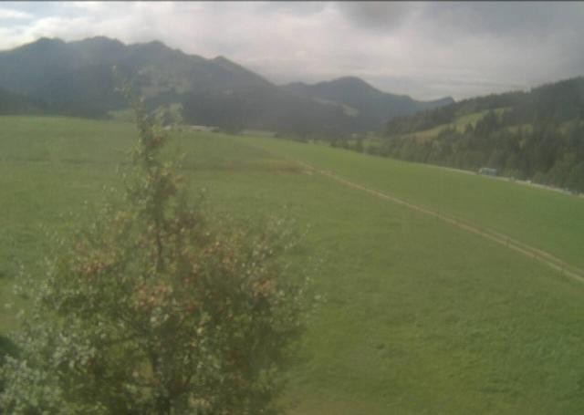 Archived image Webcam Hochfilzen, Tyrol