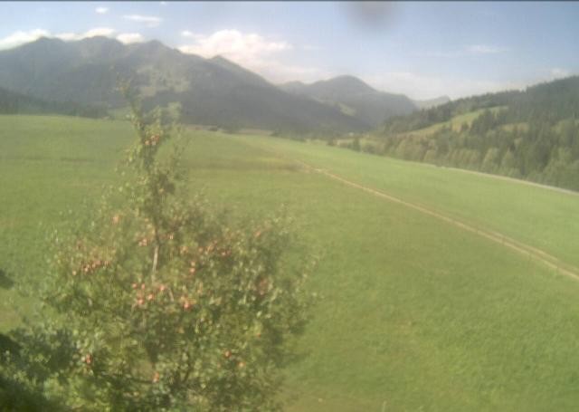 Archiv Foto Webcam Hochfilzen, Tirol