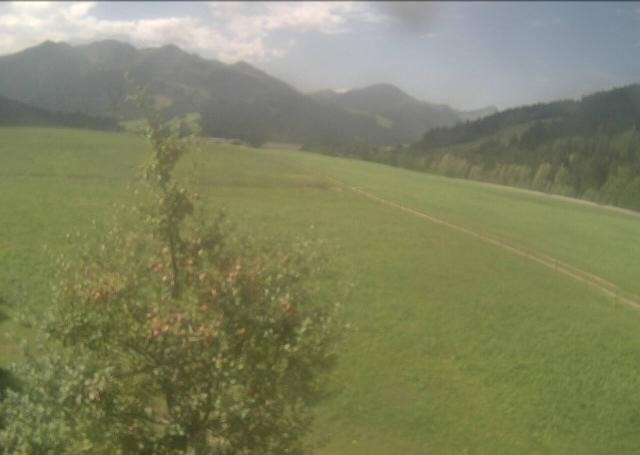 Archiv Foto Webcam Hochfilzen, Tirol