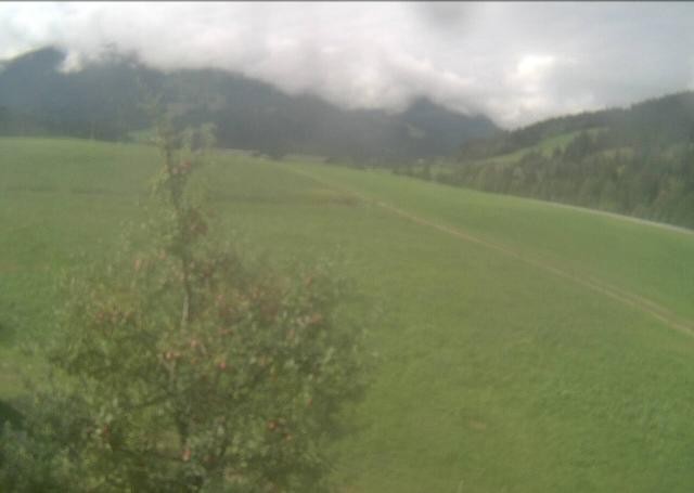 Archiv Foto Webcam Hochfilzen, Tirol