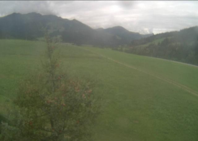 Archiv Foto Webcam Hochfilzen, Tirol