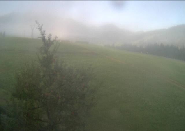 Archived image Webcam Hochfilzen, Tyrol