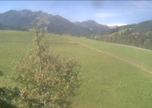 Archived image Webcam Hochfilzen, Tyrol