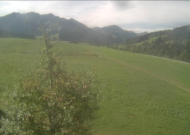Archived image Webcam Hochfilzen, Tyrol