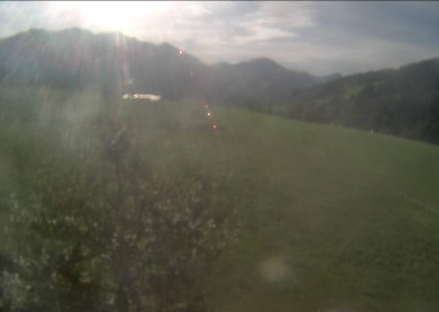Archived image Webcam Hochfilzen, Tyrol