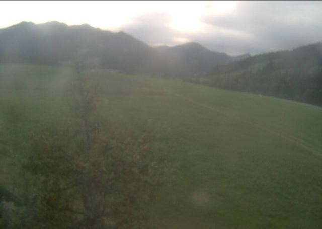 Archived image Webcam Hochfilzen, Tyrol