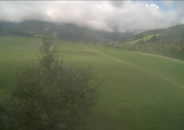 Archiv Foto Webcam Hochfilzen, Tirol