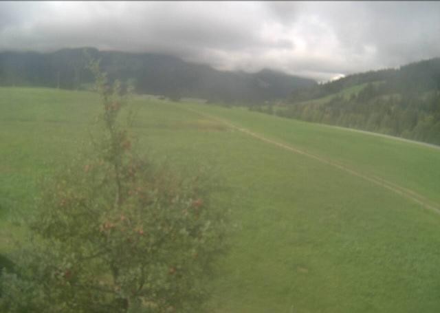 Archiv Foto Webcam Hochfilzen, Tirol
