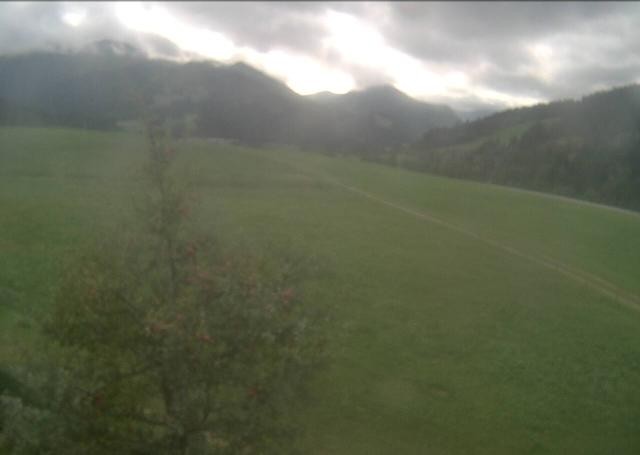 Archiv Foto Webcam Hochfilzen, Tirol
