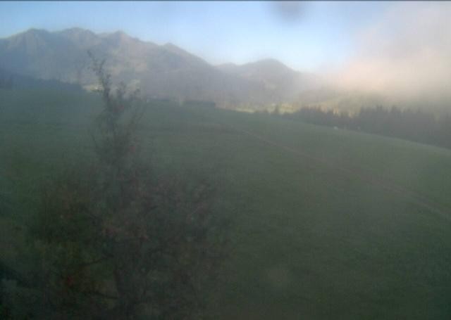 Archiv Foto Webcam Hochfilzen, Tirol