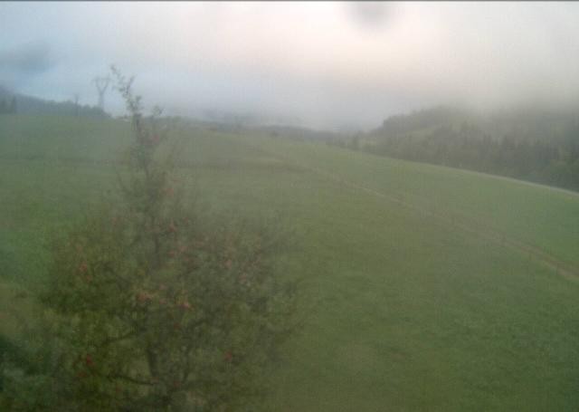 Archiv Foto Webcam Hochfilzen, Tirol