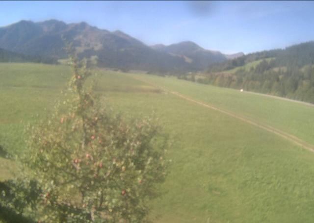 Archived image Webcam Hochfilzen, Tyrol