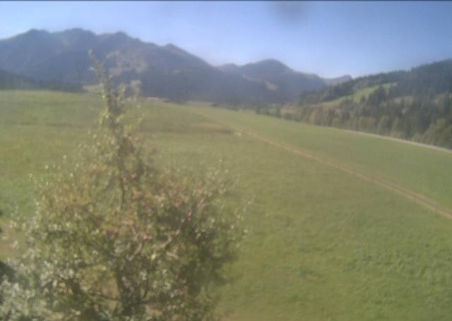 Archived image Webcam Hochfilzen, Tyrol