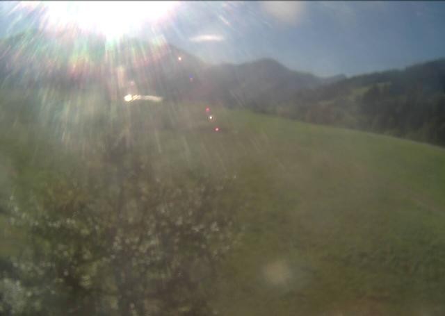 Archived image Webcam Hochfilzen, Tyrol