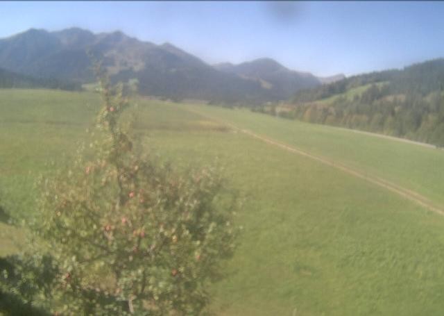 Archiv Foto Webcam Hochfilzen, Tirol