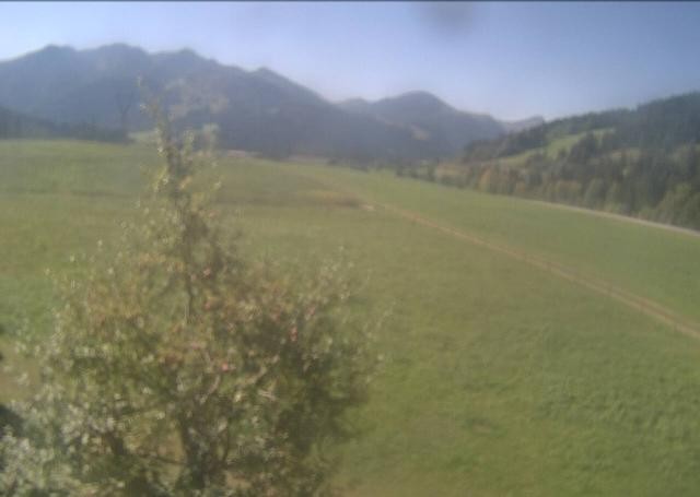 Archiv Foto Webcam Hochfilzen, Tirol
