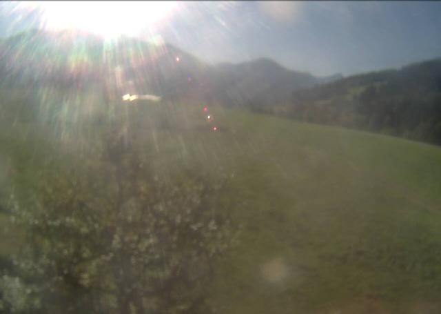 Archiv Foto Webcam Hochfilzen, Tirol