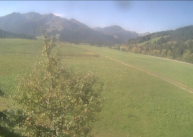 Archiv Foto Webcam Hochfilzen, Tirol