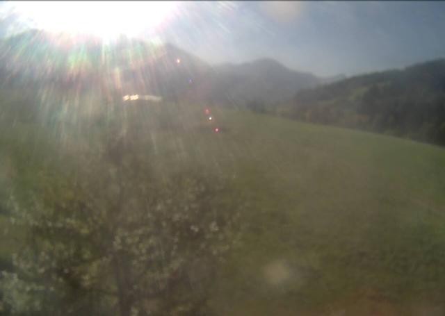 Archiv Foto Webcam Hochfilzen, Tirol